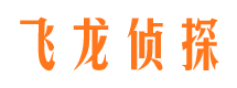 麟游私人侦探